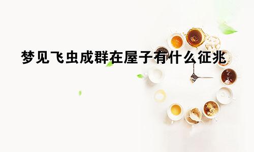 梦见飞虫成群在屋子有什么征兆