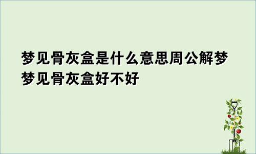 梦见骨灰盒是什么意思周公解梦梦见骨灰盒好不好