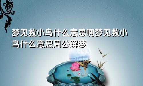 梦见救小鸟什么意思啊梦见救小鸟什么意思周公解梦