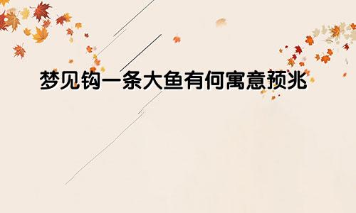 梦见钩一条大鱼有何寓意预兆