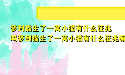 梦到猫生了一窝小猫有什么征兆吗梦到猫生了一窝小猫有什么征兆嘛