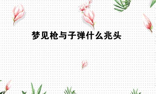 梦见枪与子弹什么兆头