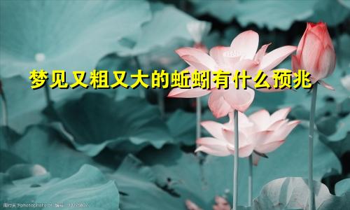 梦见又粗又大的蚯蚓有什么预兆