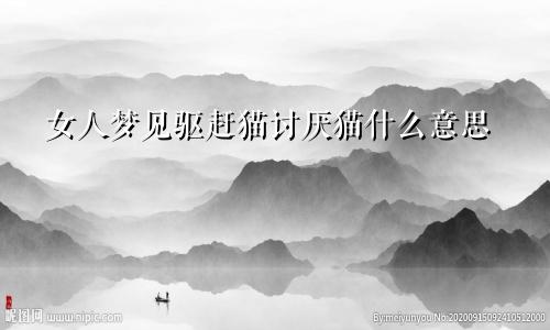 女人梦见驱赶猫讨厌猫什么意思