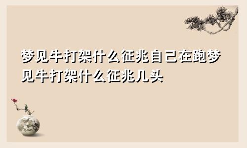 梦见牛打架什么征兆自己在跑梦见牛打架什么征兆几头