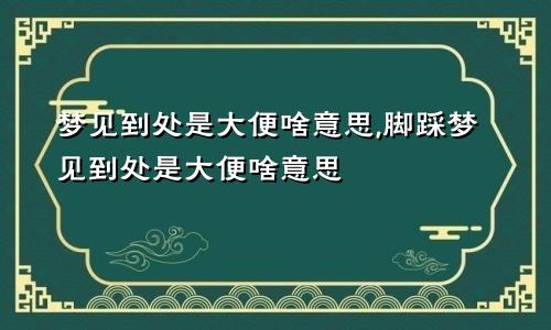 梦见到处是大便啥意思,脚踩梦见到处是大便啥意思