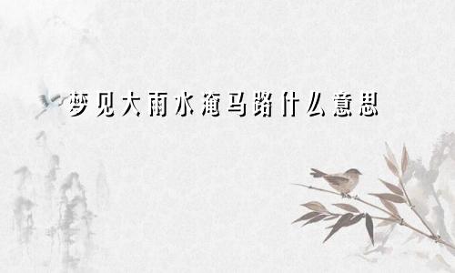 梦见大雨水淹马路什么意思