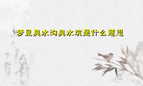 梦见臭水沟臭水坑是什么意思