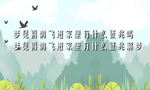 梦见喜鹊飞进家里有什么征兆吗梦见喜鹊飞进家里有什么征兆解梦