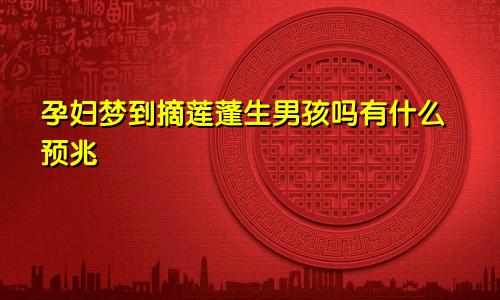 孕妇梦到摘莲蓬生男孩吗有什么预兆