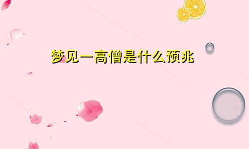 梦见一高僧是什么预兆
