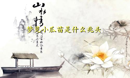 梦见小瓜苗是什么兆头