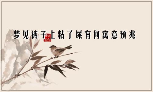 梦见裤子上粘了屎有何寓意预兆