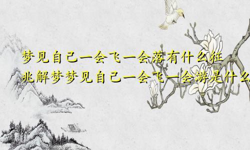 梦见自己一会飞一会落有什么征兆解梦梦见自己一会飞一会游是什么情况