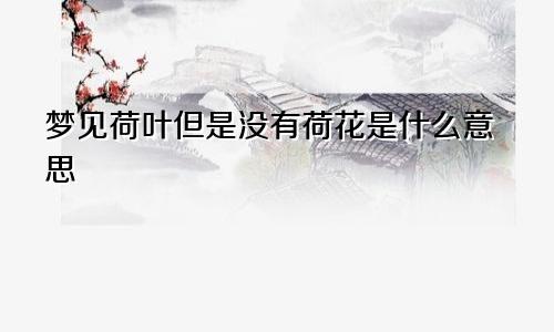 梦见荷叶但是没有荷花是什么意思