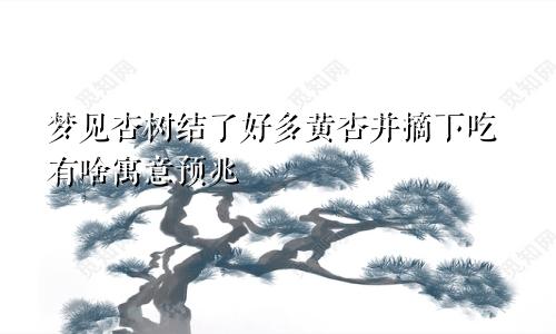 梦见杏树结了好多黄杏并摘下吃有啥寓意预兆