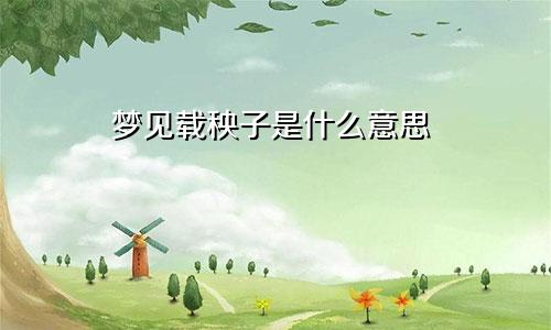 梦见载秧子是什么意思