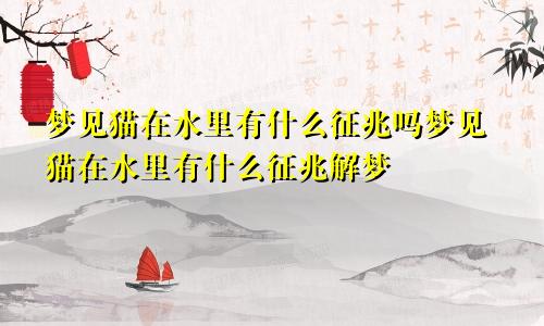 梦见猫在水里有什么征兆吗梦见猫在水里有什么征兆解梦