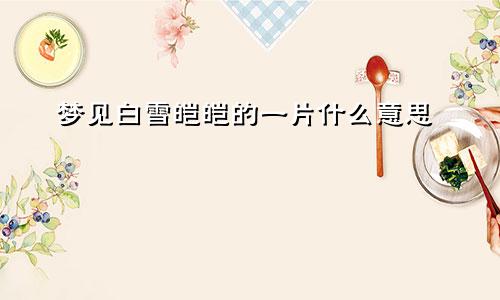 梦见白雪皑皑的一片什么意思