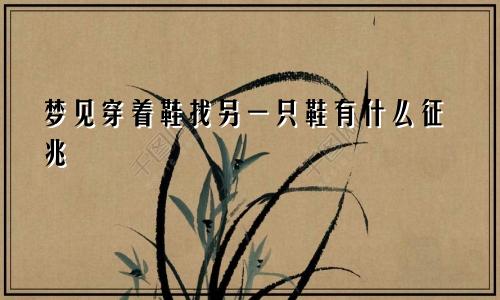 梦见穿着鞋找另一只鞋有什么征兆