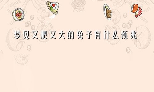 梦见又肥又大的兔子有什么预兆