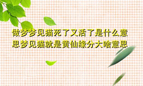 做梦梦见猫死了又活了是什么意思梦见猫就是黄仙缘分大啥意思