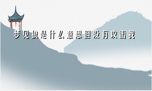 梦见狼是什么意思但没有攻击我