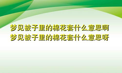 梦见被子里的棉花套什么意思啊梦见被子里的棉花套什么意思呀