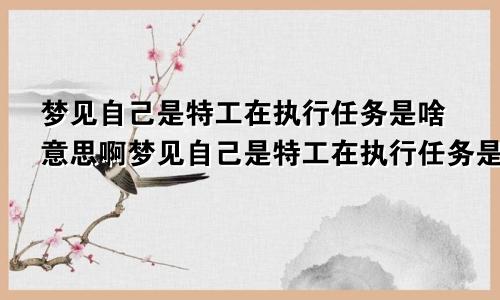 梦见自己是特工在执行任务是啥意思啊梦见自己是特工在执行任务是啥意思呀