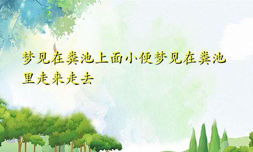 梦见在粪池上面小便梦见在粪池里走来走去