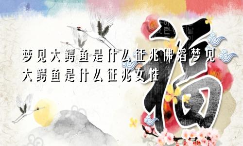 梦见大鳄鱼是什么征兆佛滔梦见大鳄鱼是什么征兆女性