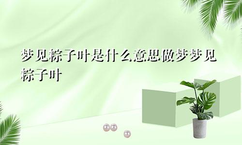 梦见粽子叶是什么意思做梦梦见粽子叶
