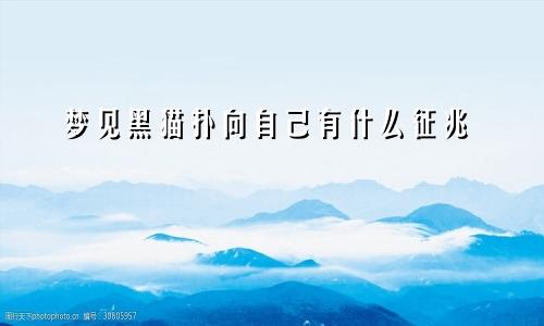 梦见黑猫扑向自己有什么征兆