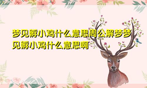 梦见孵小鸡什么意思周公解梦梦见孵小鸡什么意思啊