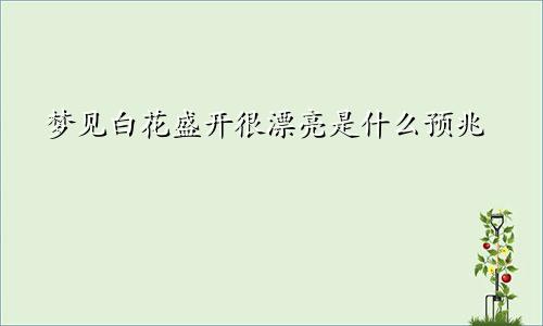 梦见白花盛开很漂亮是什么预兆