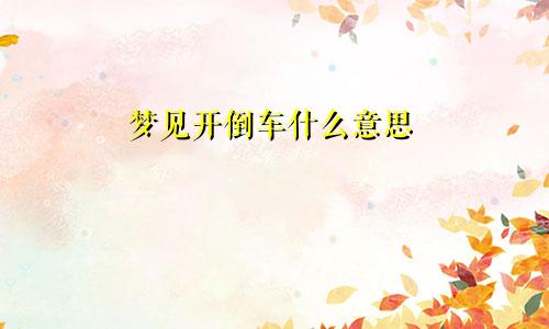 梦见开倒车什么意思