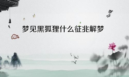 梦见黑狐狸什么征兆解梦