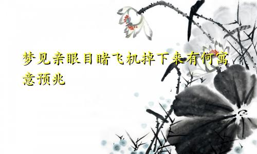 梦见亲眼目睹飞机掉下来有何寓意预兆