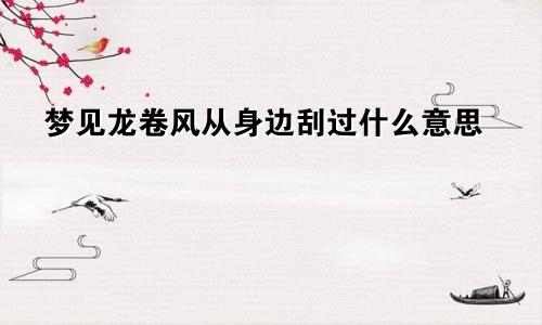 梦见龙卷风从身边刮过什么意思