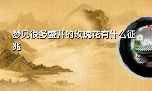 梦见很多盛开的玫瑰花有什么征兆