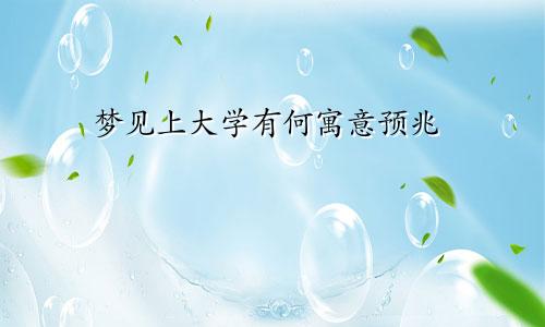 梦见上大学有何寓意预兆