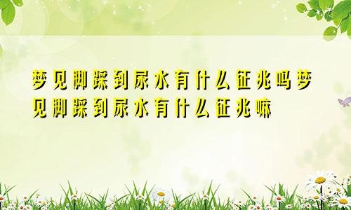 梦见脚踩到尿水有什么征兆吗梦见脚踩到尿水有什么征兆嘛
