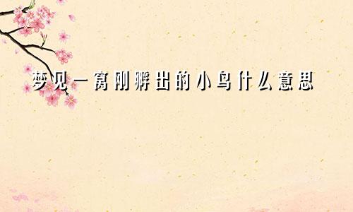 梦见一窝刚孵出的小鸟什么意思