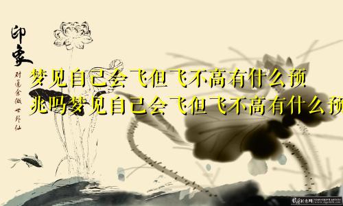梦见自己会飞但飞不高有什么预兆吗梦见自己会飞但飞不高有什么预兆嘛
