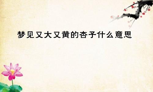 梦见又大又黄的杏子什么意思