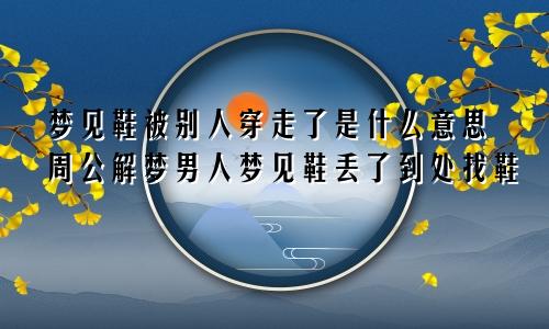 梦见鞋被别人穿走了是什么意思周公解梦男人梦见鞋丢了到处找鞋