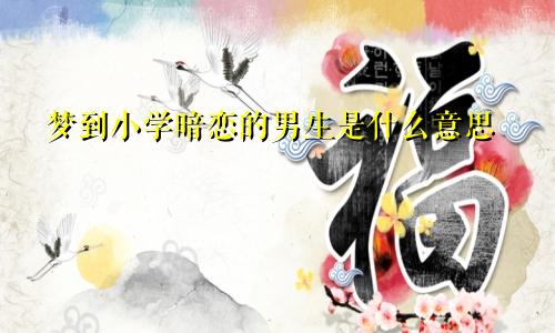 梦到小学暗恋的男生是什么意思