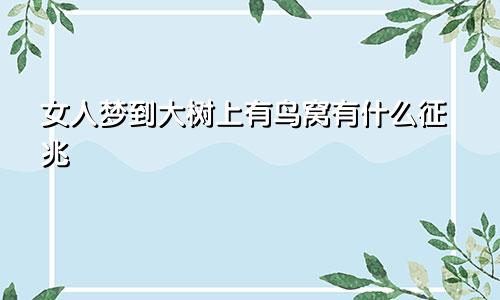 女人梦到大树上有鸟窝有什么征兆