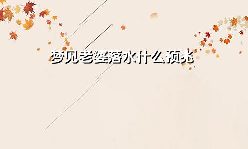 梦见老婆落水什么预兆