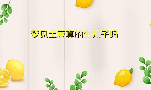 梦见土豆真的生儿子吗